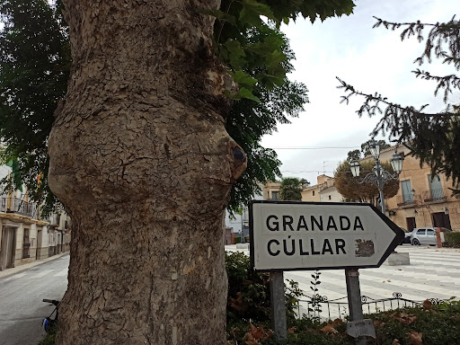 Árbol señal - Visual