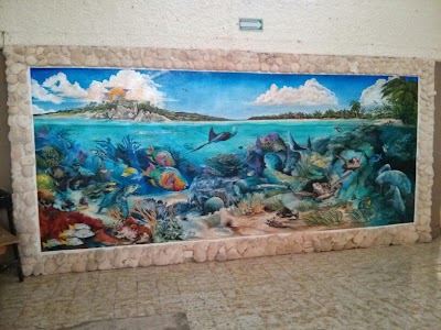Photos of Centro Ecol&oacute;gico Akumal
