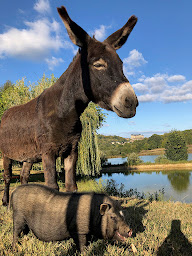 Photo n°37 de Domaine des SOURCES à Hautefort (Centre de paintball)