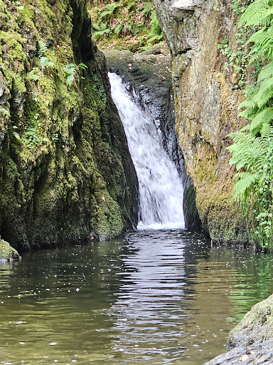 Ffynone Waterfall