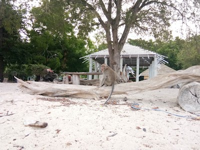 Photos of Pantai Bama (Resort Bama Baluran National Park)