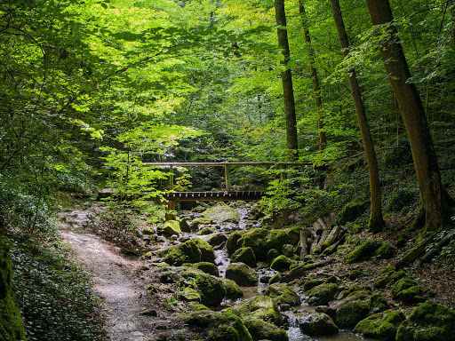 Zipfelbachtal