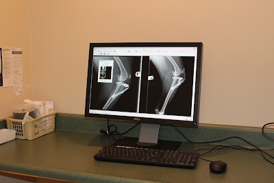 Photos of Dupont Veterinary Clinic