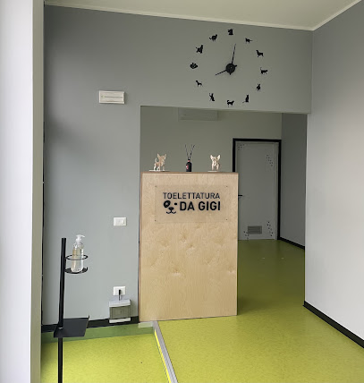 Toelettatura da Gigi