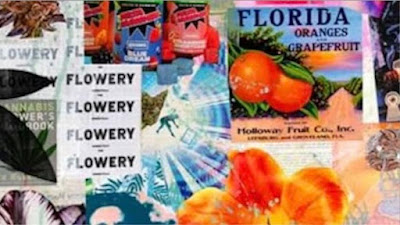 Photo of The Flowery Dispensary Orlando