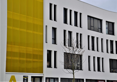 Ifas Fsep Bretagne