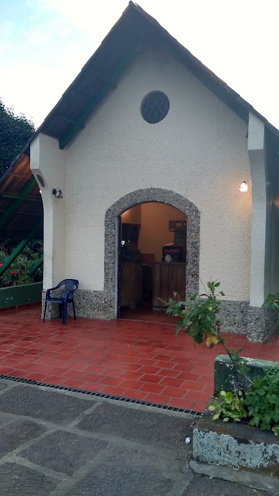 Photos of Restaurante Pitahaya