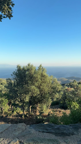 ΕΦΤΑΛΙΩΤΗ 11, Μυτιληνη 812 00