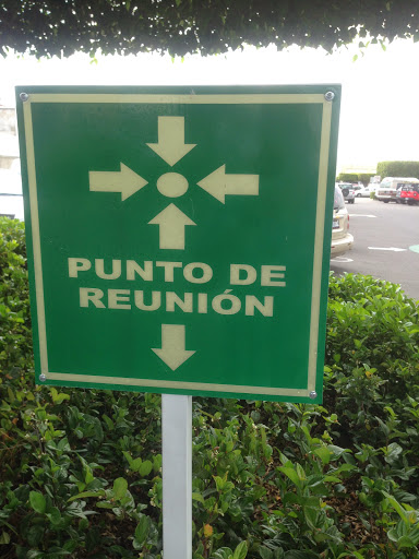 Antiflama of Jalisco - Thumbnail