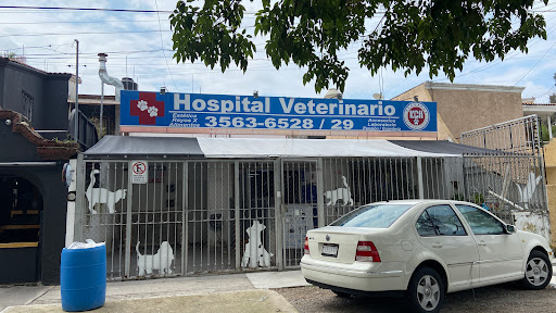 Kchorros Hospital Veterinario