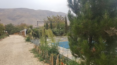 Photos of Legato cafe,restaurant