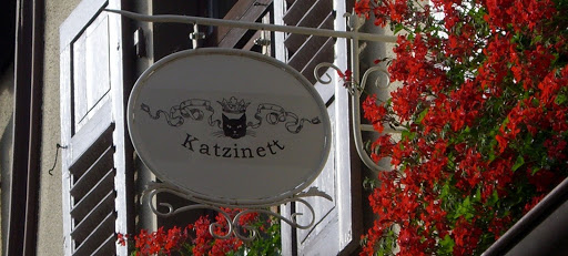 Katzinett - Katzenmuseum Ludwigshafen