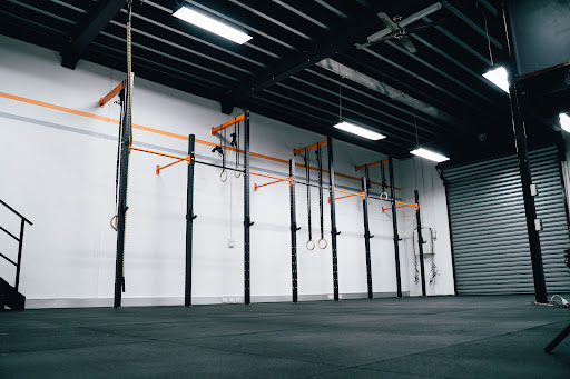 The Fitness Concept - Thumbnail
