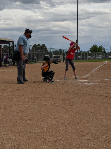 Converse Softball Complex - Visual