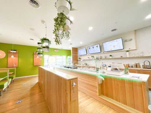 Seedbol Kitchen - Visual