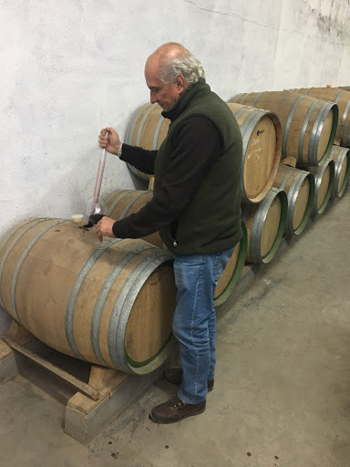 Bodega Casa del Águila