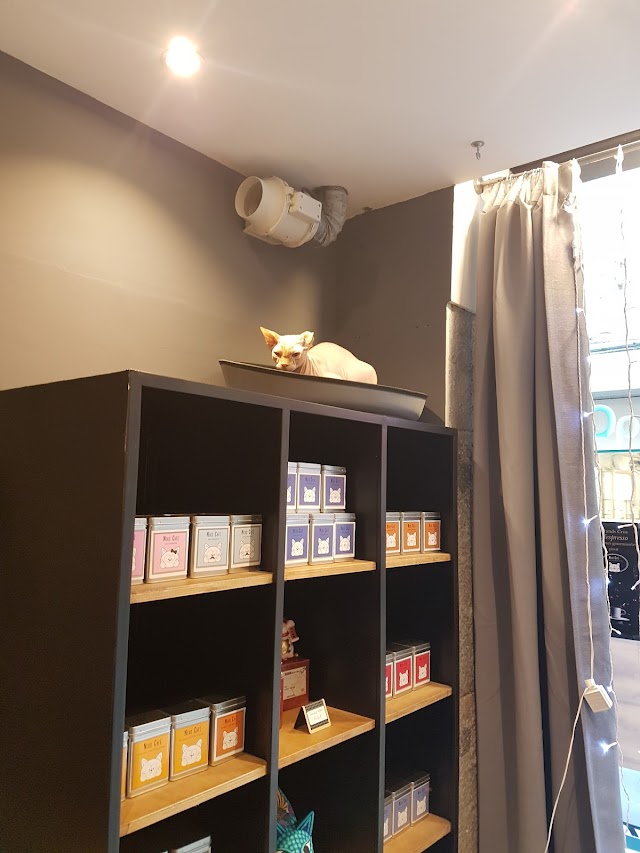Neko café Bar à chats