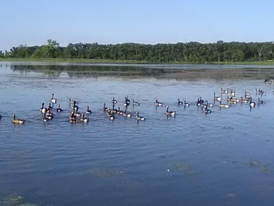 Silver Lake County Park