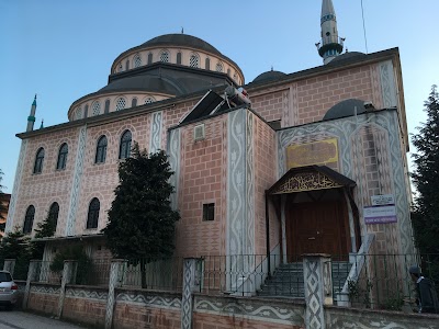 Z. Kotku Cami