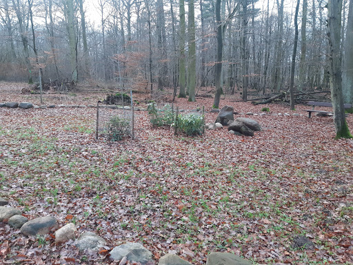 Hundefriedhof - Thumbnail
