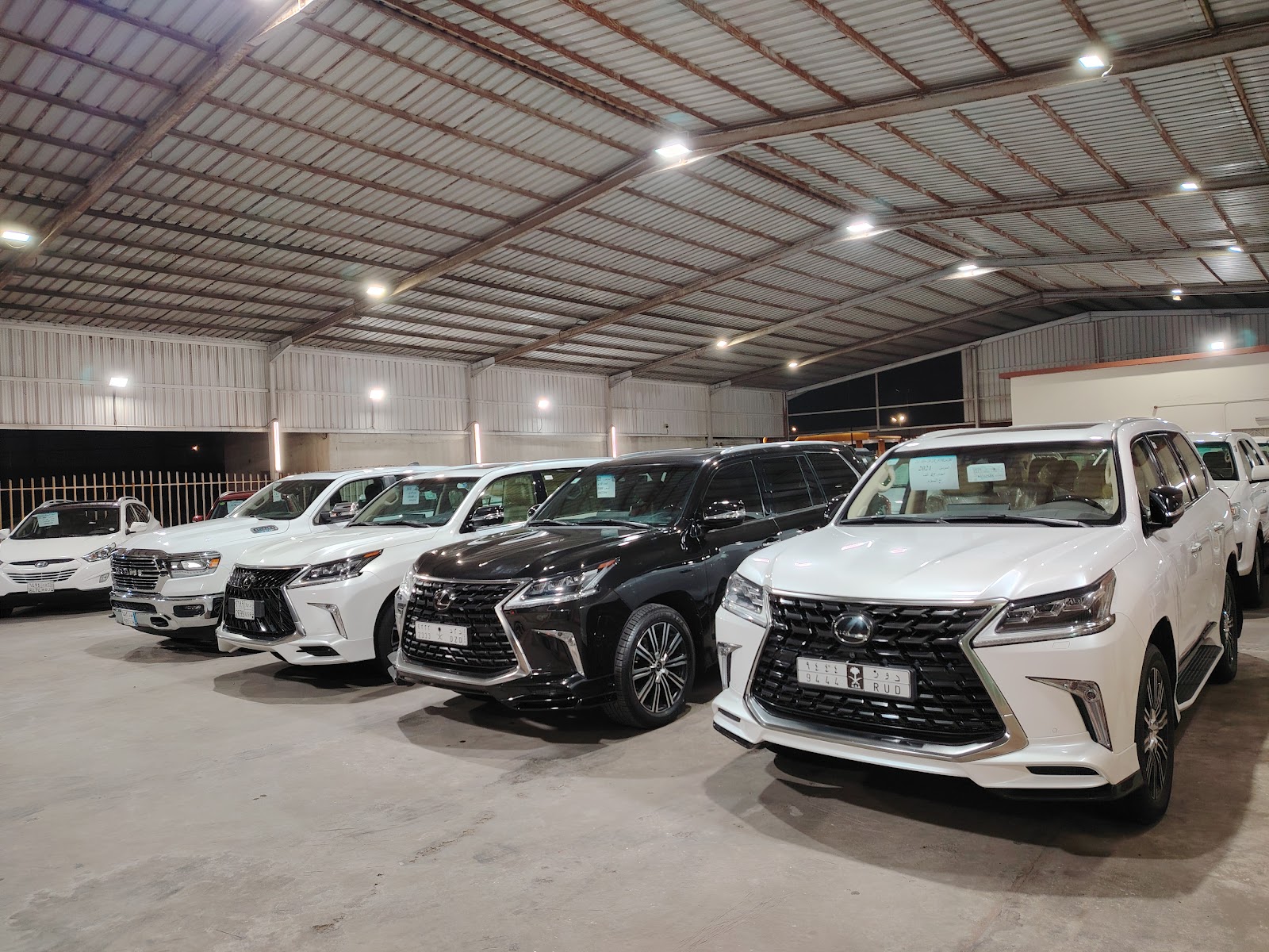 معرض الوسام الجديد للسيارات - صورة 2