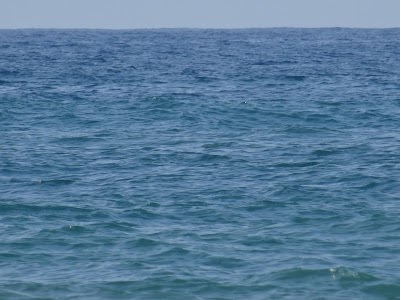 Photos of Plage Sidi Khlifa