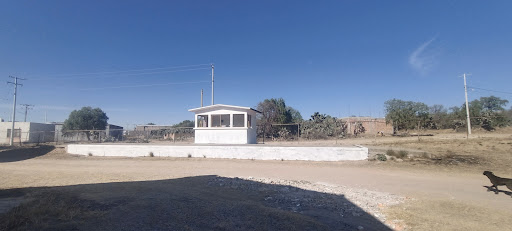 Centro de acopio El Tepetate SEGALMEX - Thumbnail