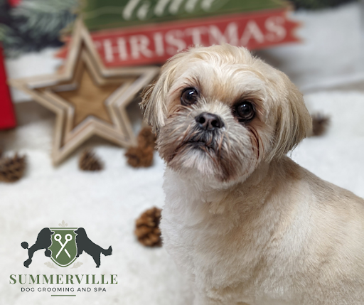 Summerville Dog Grooming & Spa