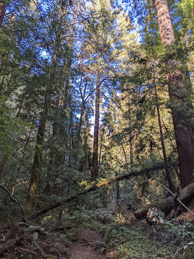 Fall Creek Unit Gallery - United States