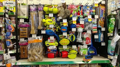 Photos of Sobeys Oshawa
