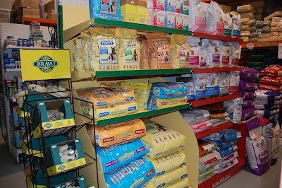 Photos of Pet-Bliss Pet Shop