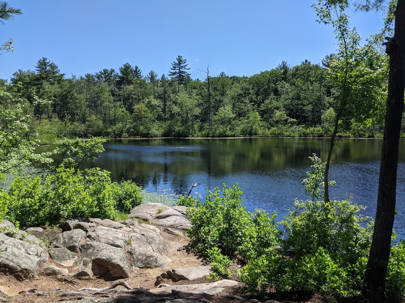 Photo of Berry Pond