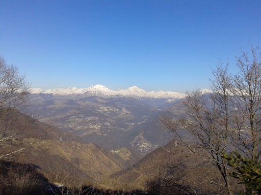 CARRARA MATTEO NON SOLO IMBIANCATURA