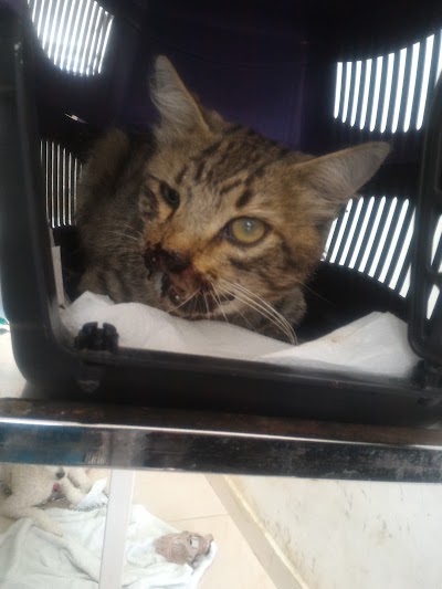 Photos of Life Veterinary Clinic