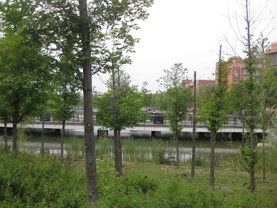 Zhengzhou University