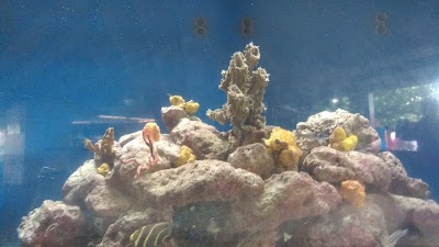 Photos of Cura&ccedil;ao Sea Aquarium