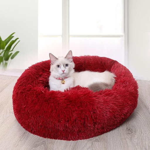 Love4pets - Visual