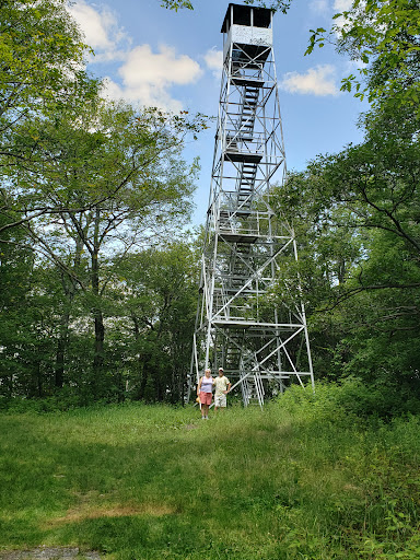 Beebe Hill State Forest - Thumbnail
