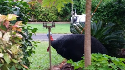 Photos of Beachcomber Coconut Holiday Park