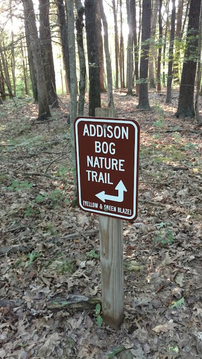 Addison Bog & Woodlands