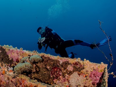 Photos of Diving in Aqaba | Arab Divers