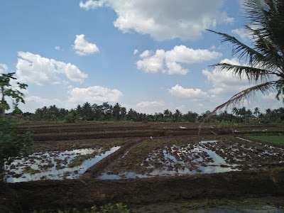 Photos of Barokah Agency