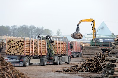 Photos of HIT Holzindustrie Torgau OHG