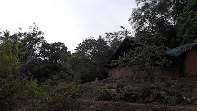 Photos of Knuckles Forest Lodge
