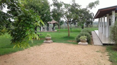 Photos of Green Palace Hotel