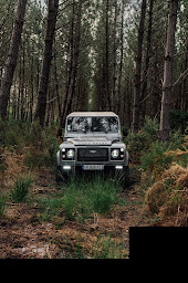 Photo n°19 de HANGAR 166 à Mérignac (Service de restauration d'automobiles)