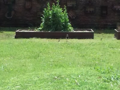 Photos of Terra Lucana