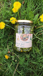 Photo n°4 de Pascale Torlet Thérapeute holistique à Labatmale (Coach de vie)