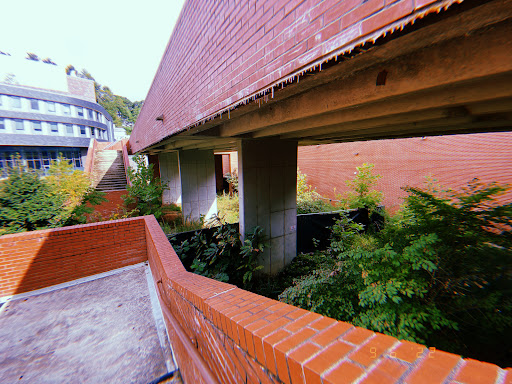 Hunter Library - Visual