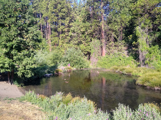 Nelson Falls RV Park - Thumbnail
